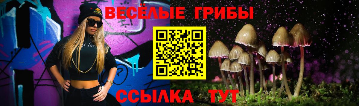 Псилоцибиновые грибы ЛСД Сергиев Посад